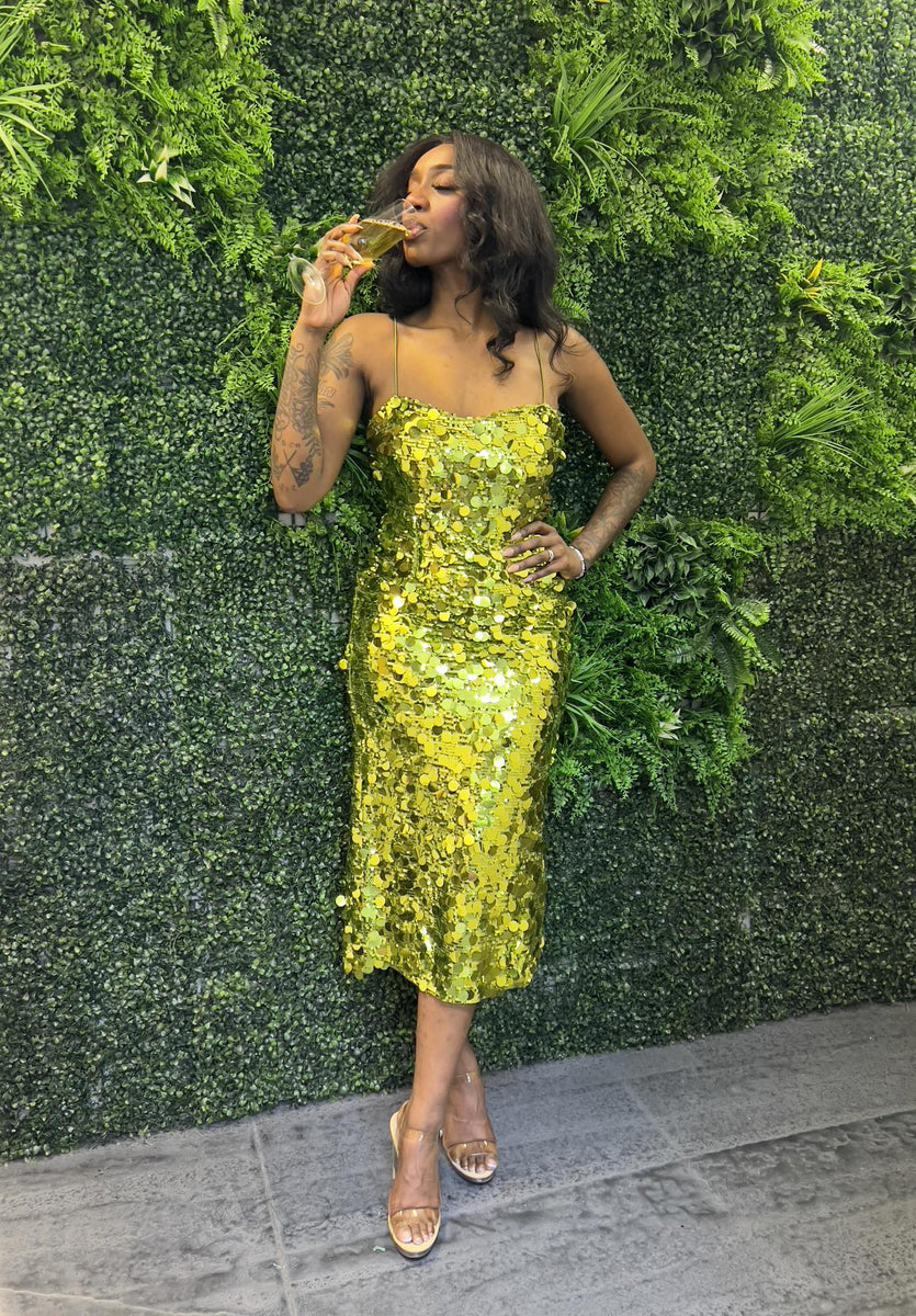 Aniyah Sequin Dress – What Dress Code Boutique